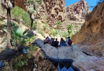 El Cañón de Nacapule, un oasis en el desierto de Sonora ideal para visitar en Semana Santa | VIDEO