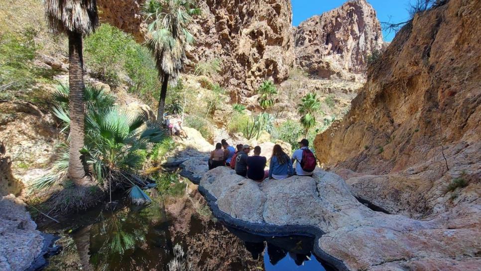 El Cañón de Nacapule, un oasis en el desierto de Sonora ideal para visitar en Semana Santa | VIDEO