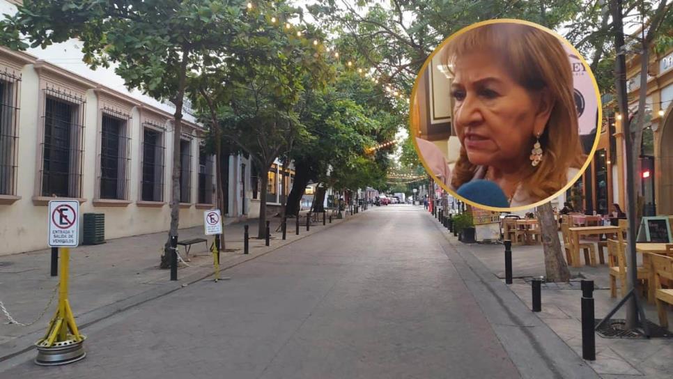 Recuperar la vida nocturna en Culiacán tomará tiempo porque hay un daño psicoemocional: Tere Guerra