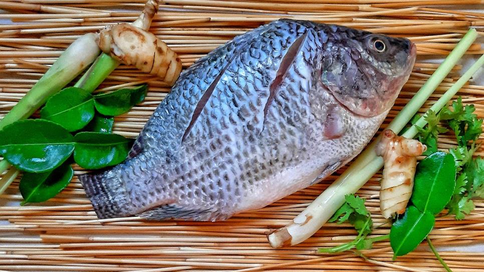 ¿Qué tan saludable es la tilapia? Esto debes saber de este pescado muy consumido en Cuaresma