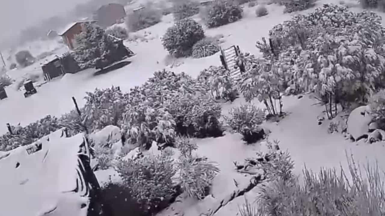 Imagen Placeholder Imagen Placeholder