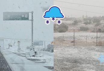 Cierran La Rumorosa tras intensa nevada en pleno marzo | VIDEOS