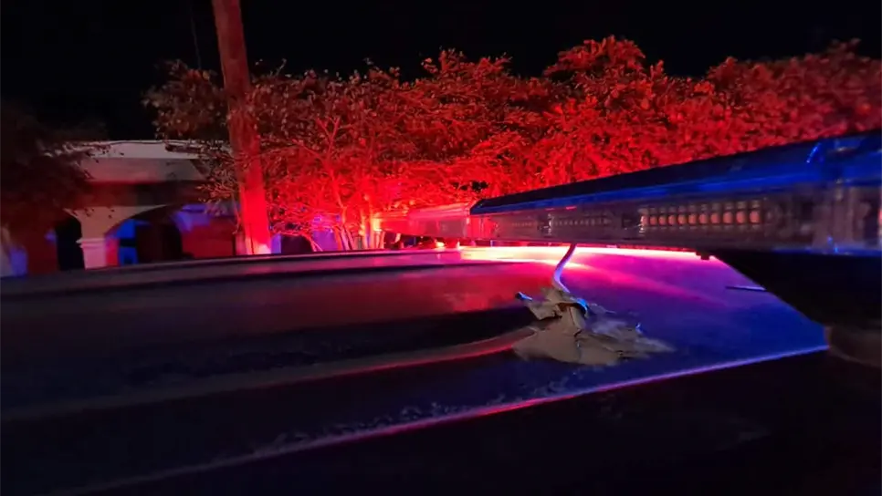 FOTO: Luis Ramírez.