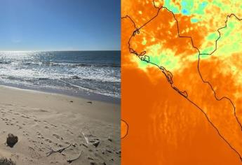 ¡Buen augurio! Incrementa temperatura en el Golfo de California 