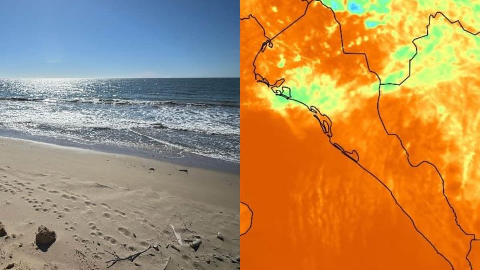 ¡Buen augurio! Incrementa temperatura en el Golfo de California 