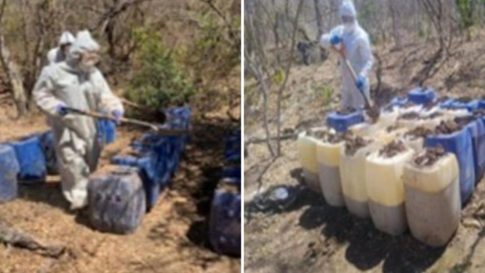 Aseguran nueve laboratorios clandestinos para elaborar droga sintética en Culiacán y Cosalá