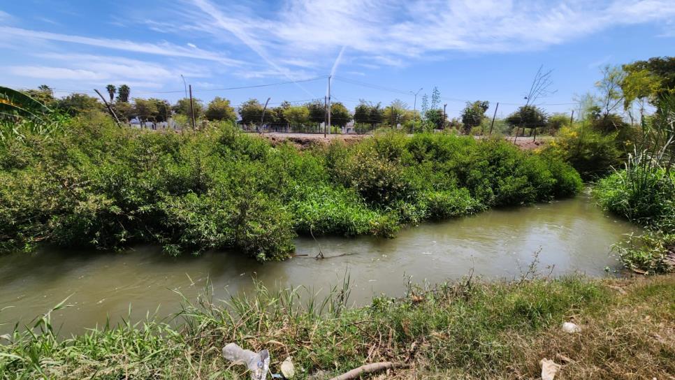 ¿Qué canales abastecen a Los Mochis de agua cruda para potabilizarla y cómo se encuentran?