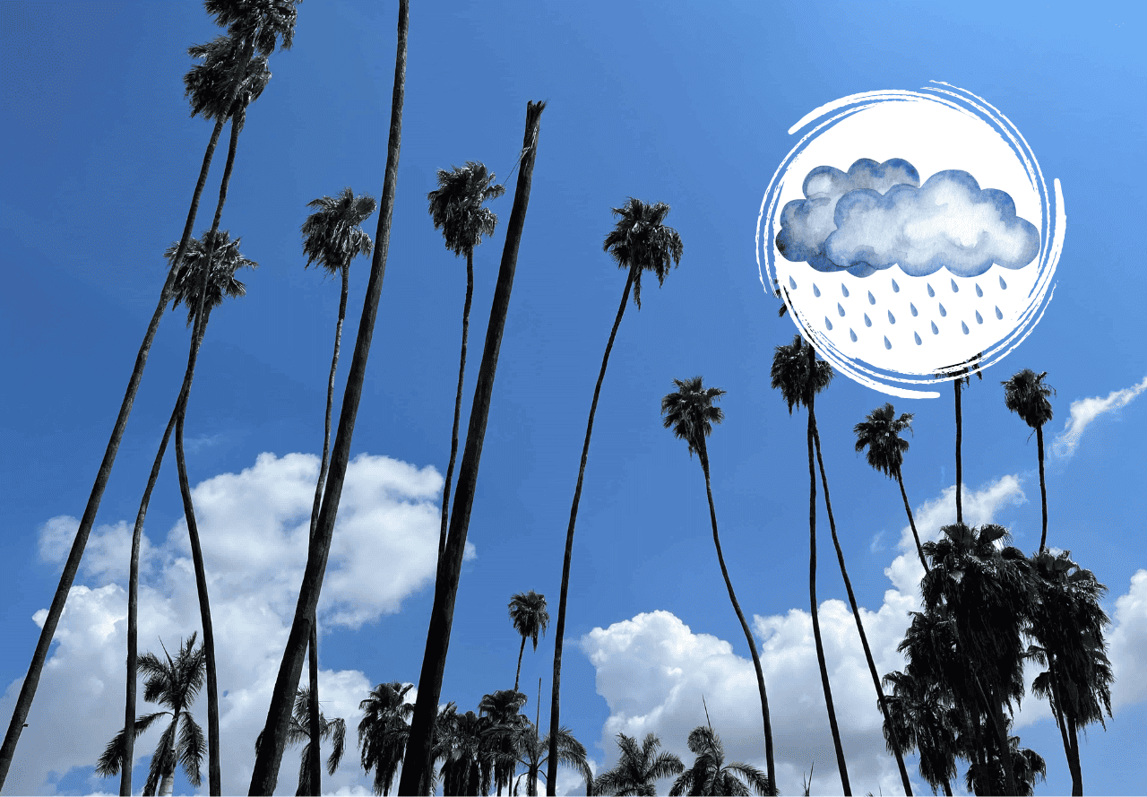 Imagen Placeholder Imagen Placeholder