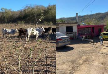 Tres comunidades de Concordia enfrentan fuerte sequía; dependen de pipas para abastecerse