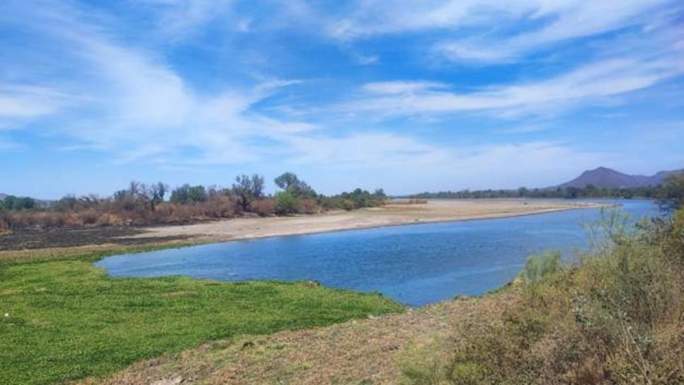 ¿Guerra mundial por el agua? La Inteligencia Artificial ya le puso fecha de inicio