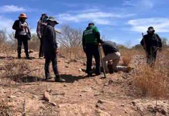 Rastreadoras buscan fosas clandestinas en El Fuerte