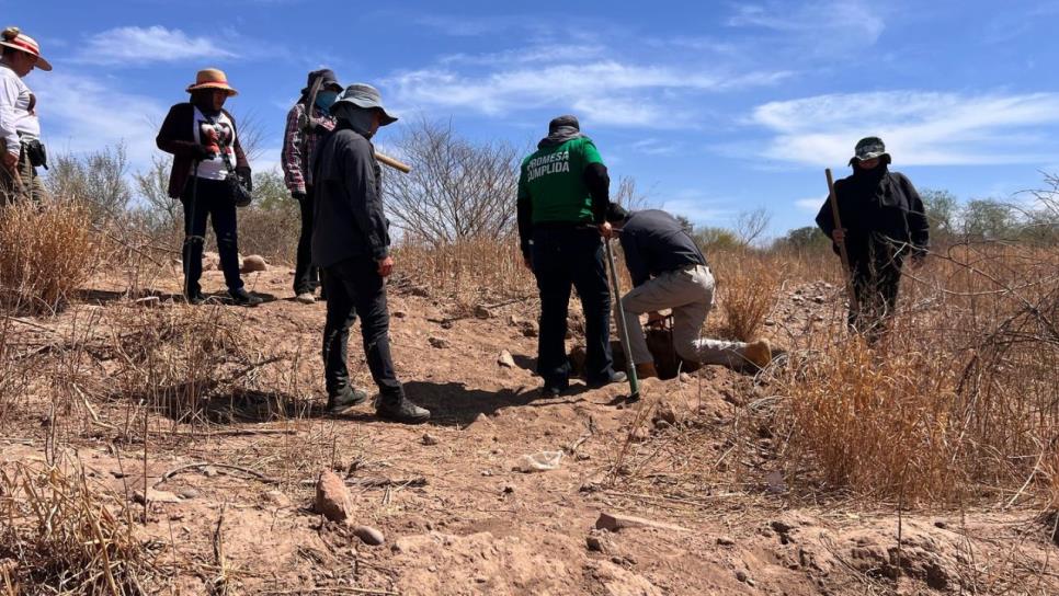 Rastreadoras buscan fosas clandestinas en El Fuerte