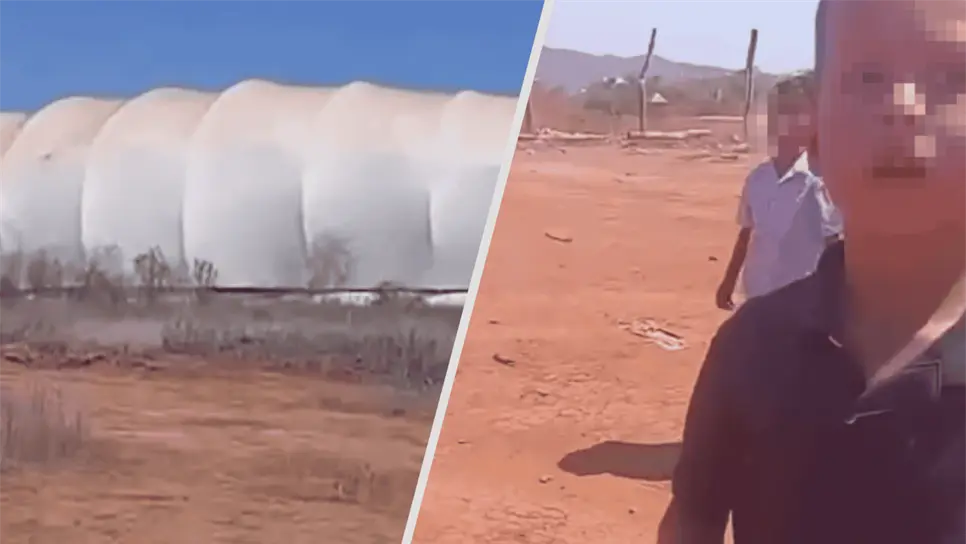 Los pequeños se volvieron virales a través de un video de TikTok. (FOTO: Cortesía).