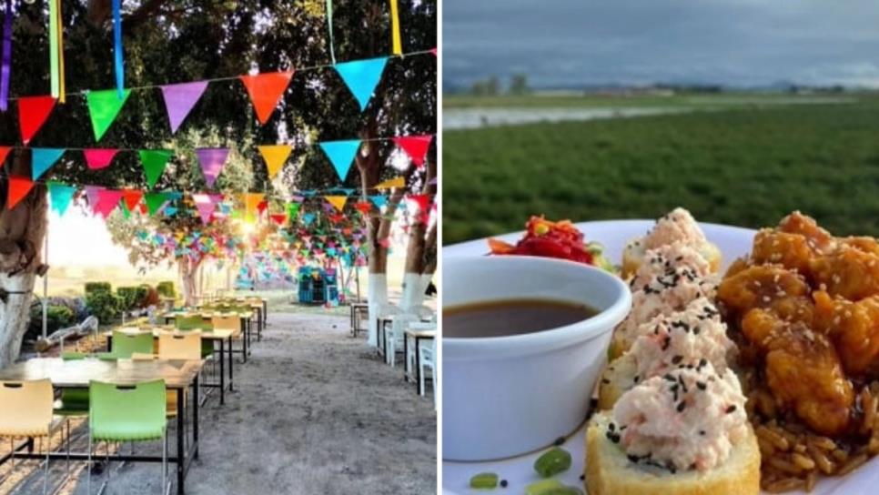 ¿Cómo llegar a La Parcela? Así son los mariscos y sushis de moda en Los Mochis