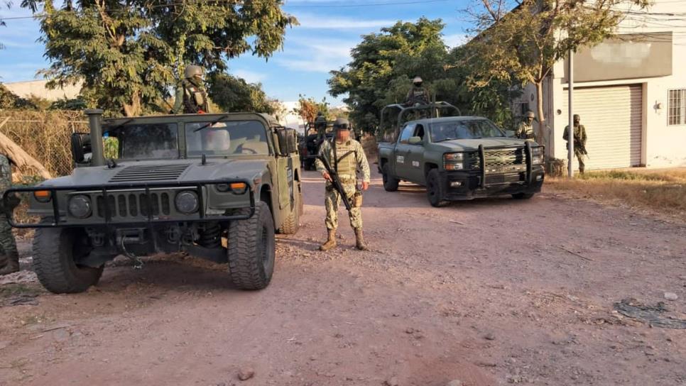 Localizan un "Cuerno de Chivo" en las inmediaciones del panteón de Colinas de Tamazula de Culiacán