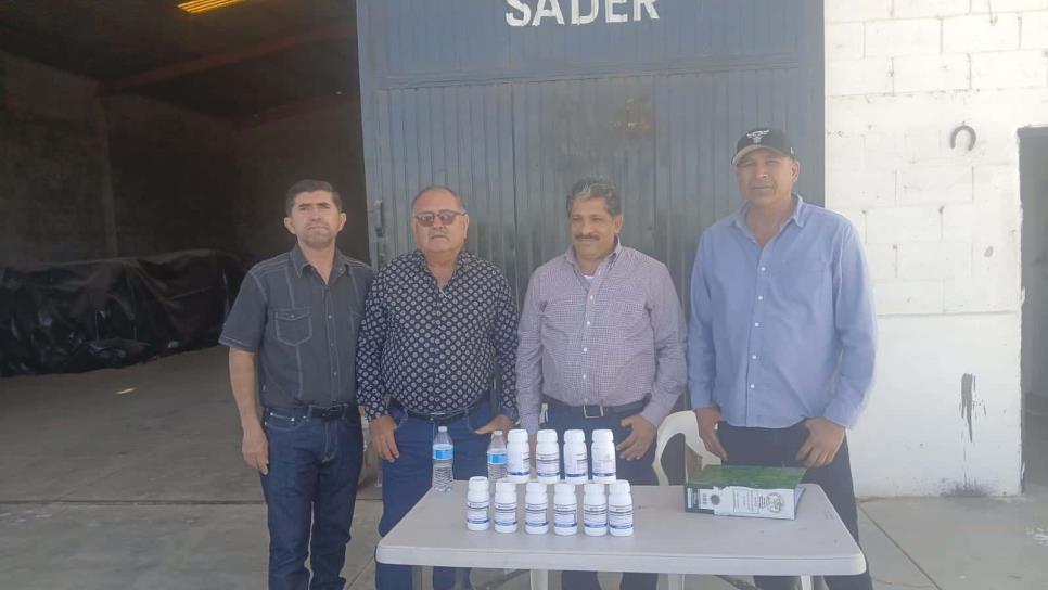 Productores de trigo en El Carrizo reciben fungicida para prevenir la roya