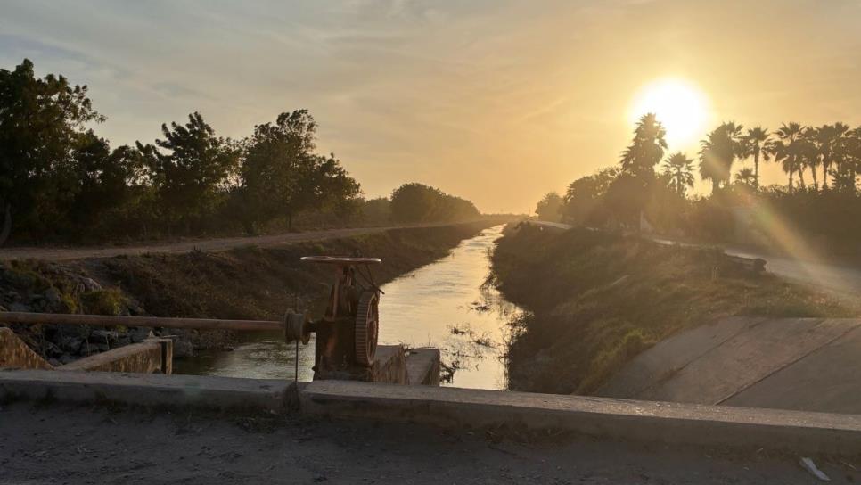 Conagua libera más agua para riegos agrícolas en el valle del Carrizo, al norte de Sinaloa