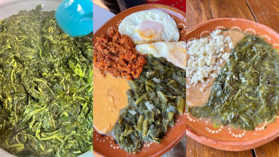 Quelites, un platillo de rancho que puedes degustar en este restaurante de El Fuerte