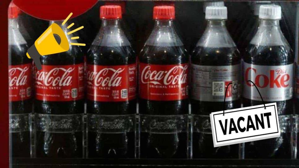 ¿Quieres trabajar en Coca-Cola?, abren vacante para home office; checa los requisitos