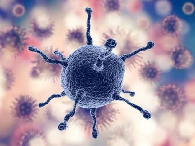 Imagen Placeholder Imagen Placeholder