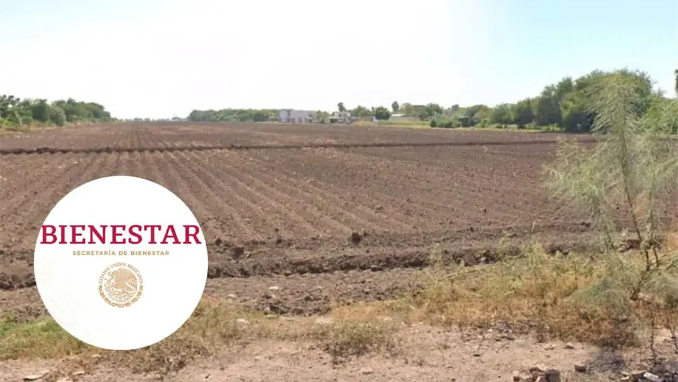 FOTO: Viviendas del Bienestar en Los Mochis 2025: ¿Dónde se ubican los terrenos y cuando inicia su construcción?