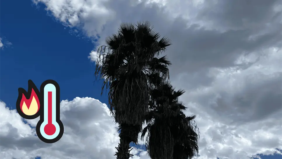 FOTO: Clima en Los Mochis.