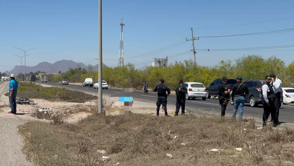 Atropellan a una persona en la México 15, su cuerpo quedó irreconocible Atropellan a una persona en la México 15, su cuerpo quedó irreconocible