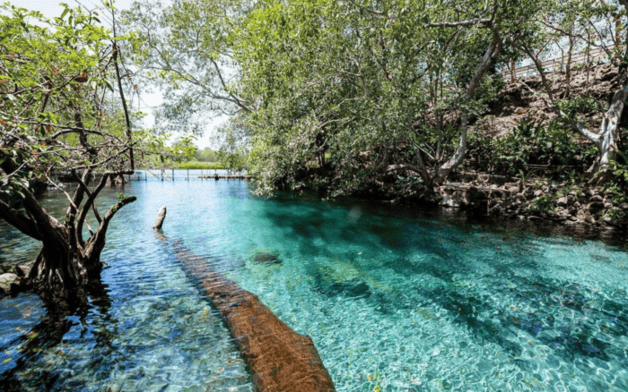 Imagen Placeholder Imagen Placeholder