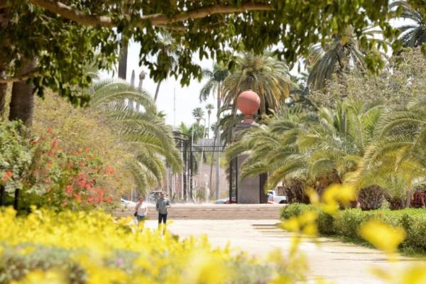 Parque Sinaloa reduce el uso de agua tras intensa sequía que azota a Los Mochis