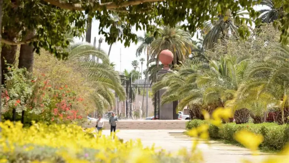 Parque Sinaloa reduce el uso de agua tras intensa sequía que azota a Los Mochis