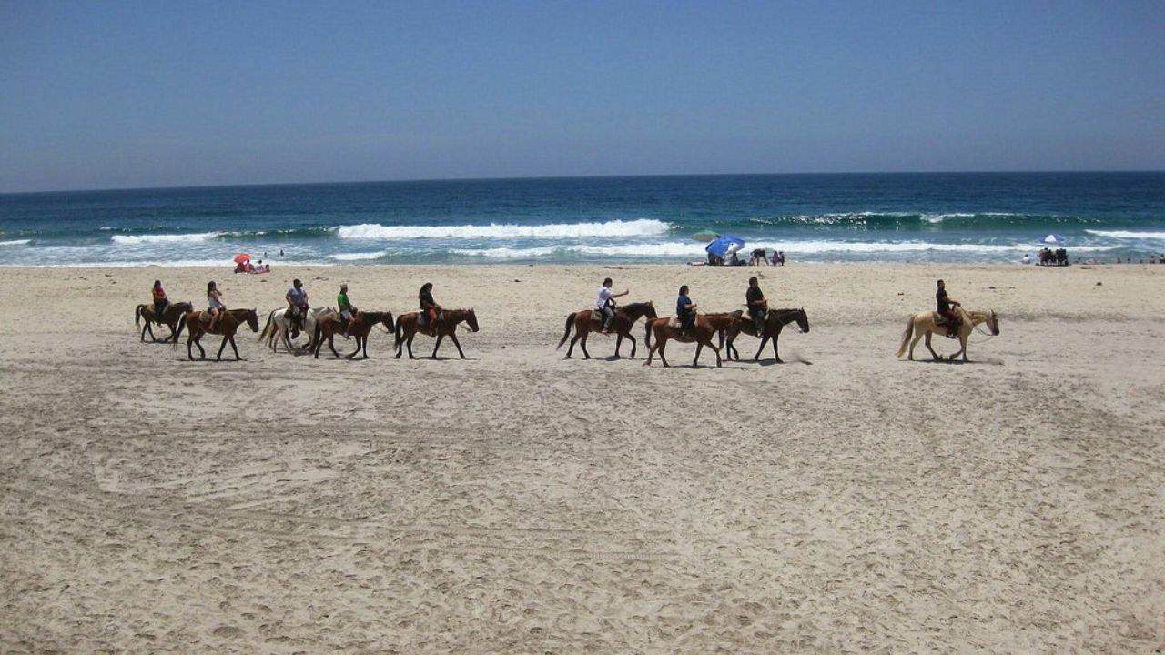 Frente a las playas del océano Pacífico, se encuentran los estudios de cine llamados Baja Studios. En este lugar se filmó la exitosa película Titanic de 1997 dirigida por James Cameron y protagonizada por Leonardo DiCaprio y Kate Winslet