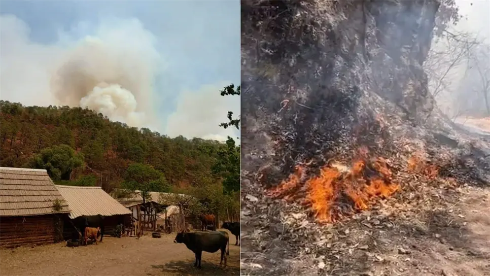 La presidenta municipal destacó que mantiene estrecha comunicación con el gobierno del estado con el objetivo de elaborar un plan para brindar apoyo a las comunidades que están siendo vulneradas