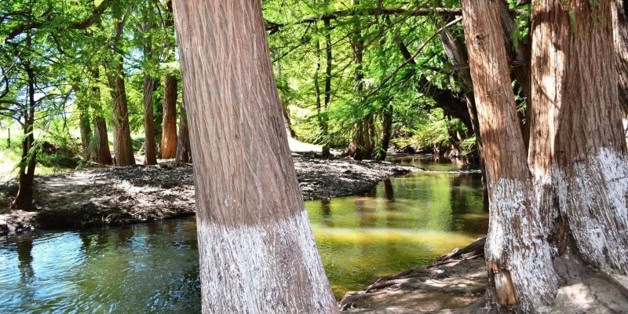 Imagen Placeholder Imagen Placeholder