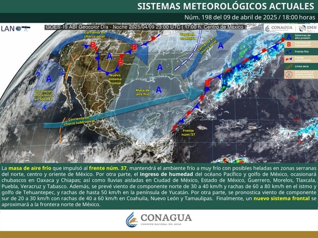 Imagen Placeholder