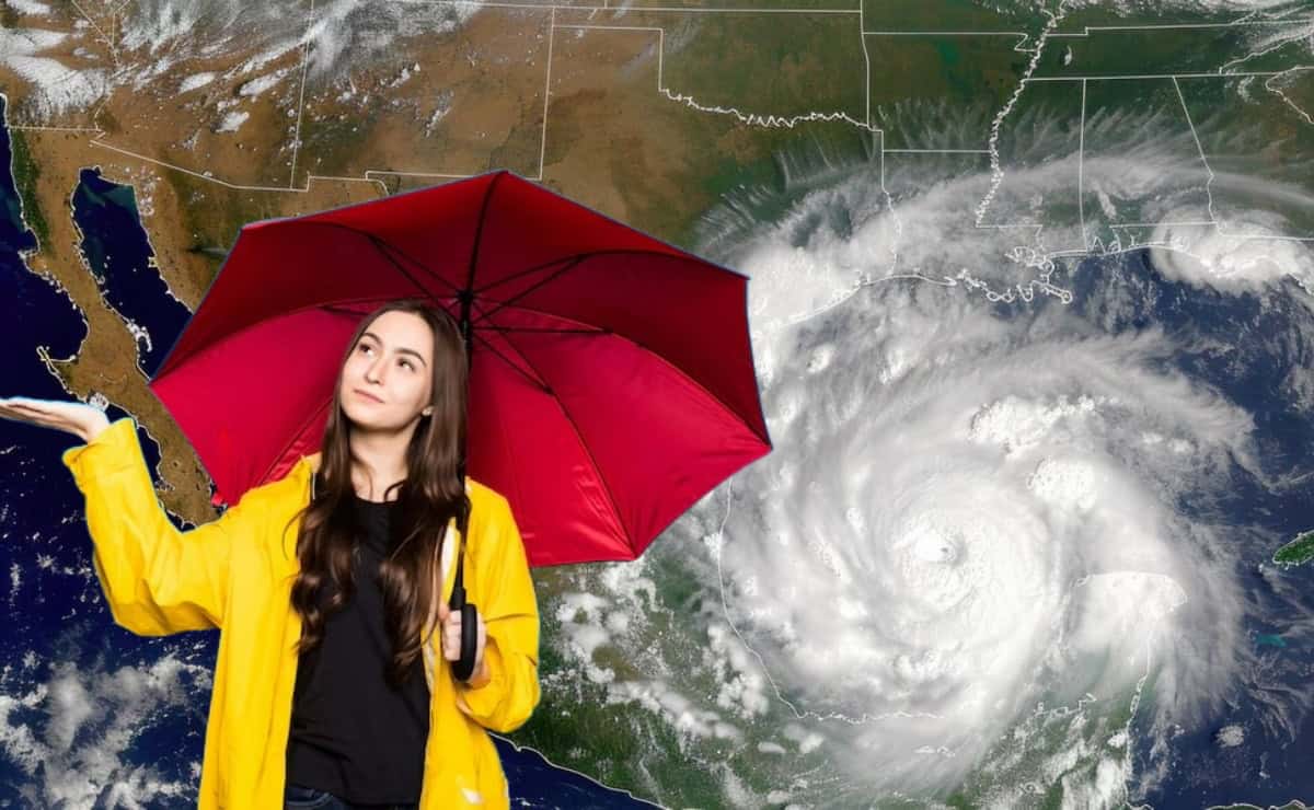 FOTO: Cortesía/FreePik.