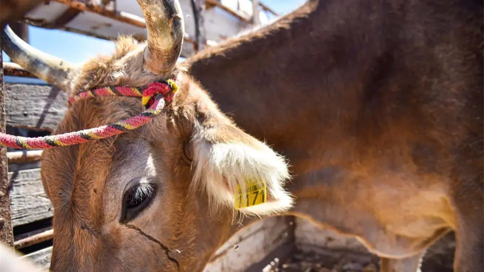 FOTO: Esthela García.