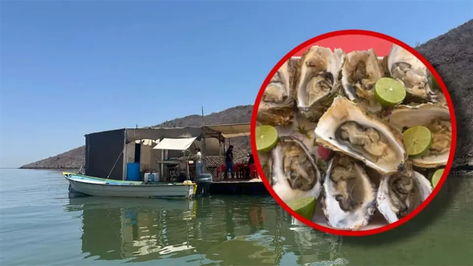 ¿Cuánto cuesta la orden de ostiones en esta casita en medio del mar?