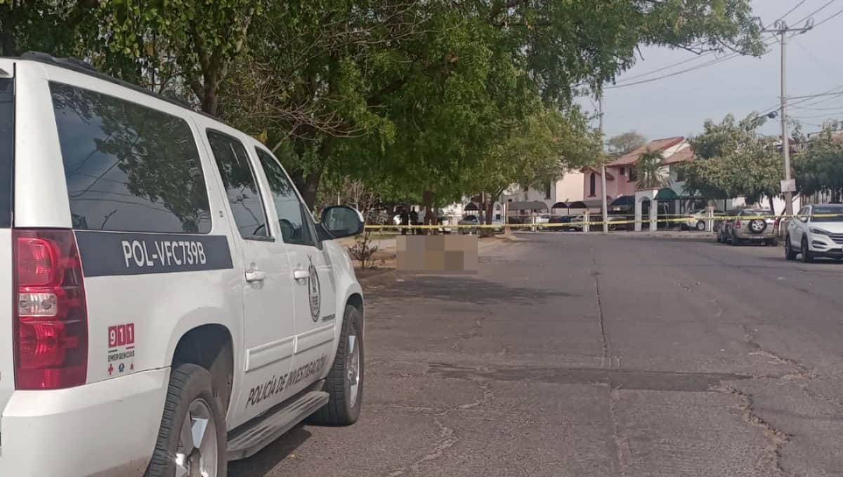 La víctima quedó en el parque del sector.