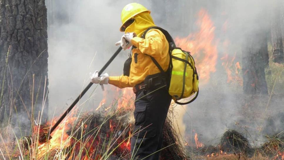 Más de 30 incendios forestales se han registrado durante el 2025 en Sinaloa Más de 30 incendios forestales se han registrado durante el 2025 en Sinaloa
