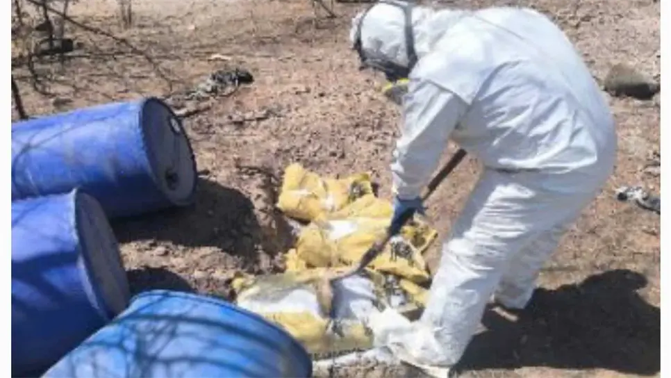 Lo asegurado fue destruido por las autoridades. (FOTO: Cortesía).