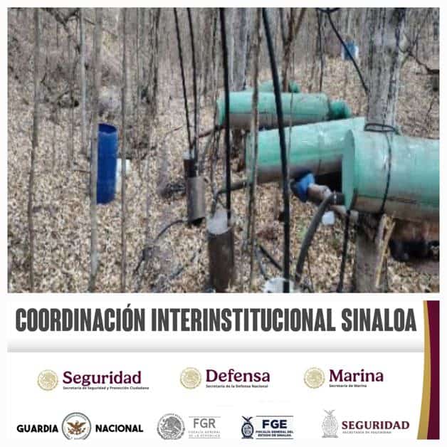 Imagen Placeholder Imagen Placeholder