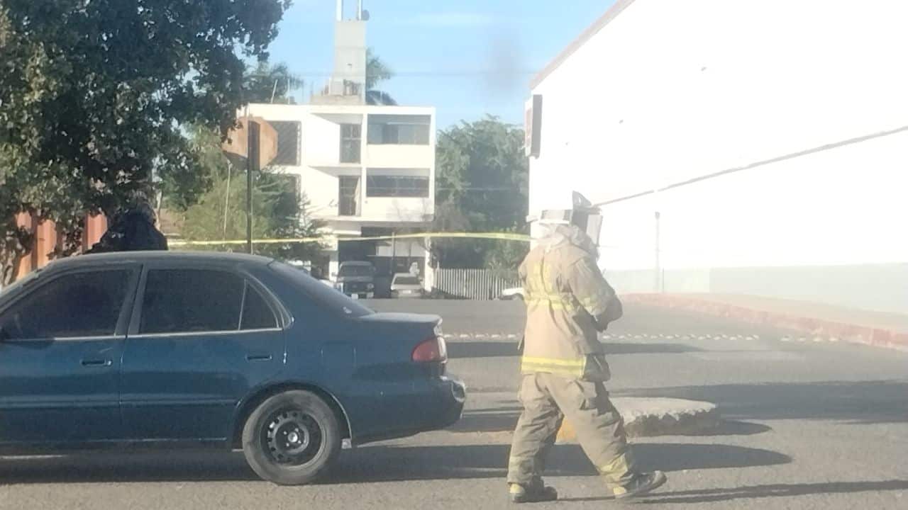 Paramédicos de los Servicios de Urgencias Médicas Municipales de Ahome brindaron atención a los afectados, quienes presentaron diversas picaduras, aunque ninguno de ellos requirió traslado a un hospital