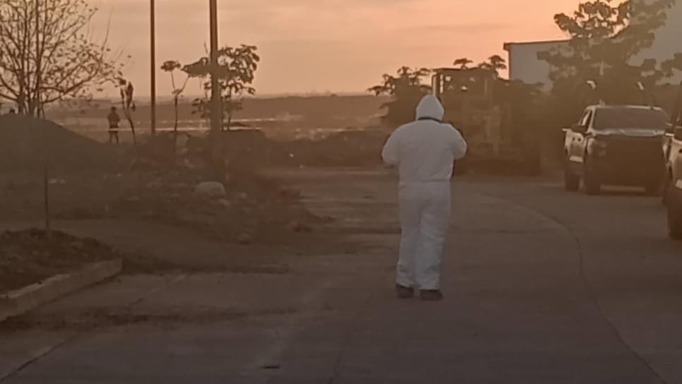 ¡Se rompe la racha!, Fiscalía de Sinaloa reporta 6 homicidios dolosos este lunes ¡Se rompe la racha!, Fiscalía de Sinaloa reporta 6 homicidios dolosos este lunes