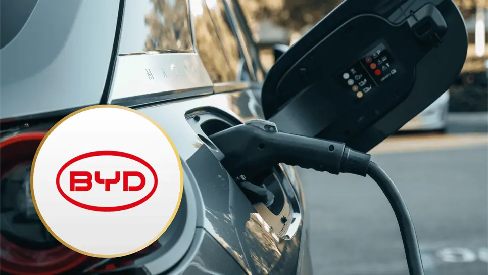 FOTO: Baterías de autos eléctricos.