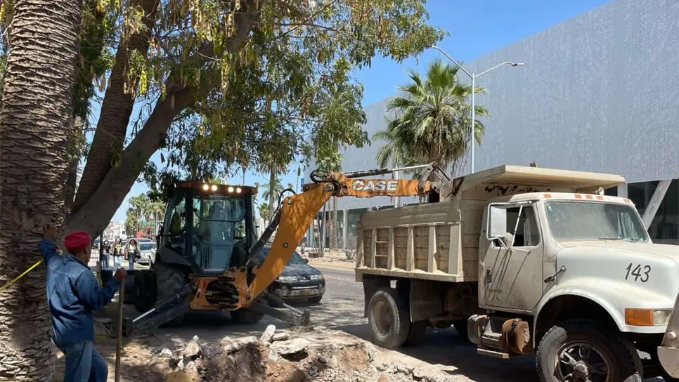 Personal del Ayuntamiento trabaja desde inicios del mes. (FOTO: Rita Sánchez).