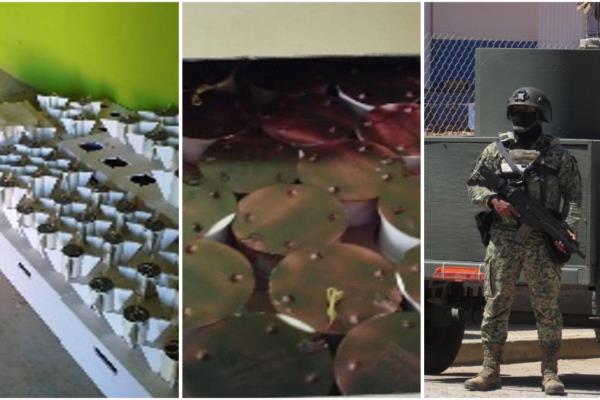 Aseguran casi 3 mil explosivos improvisados en cateo a domicilio en El Huajote, Concordia