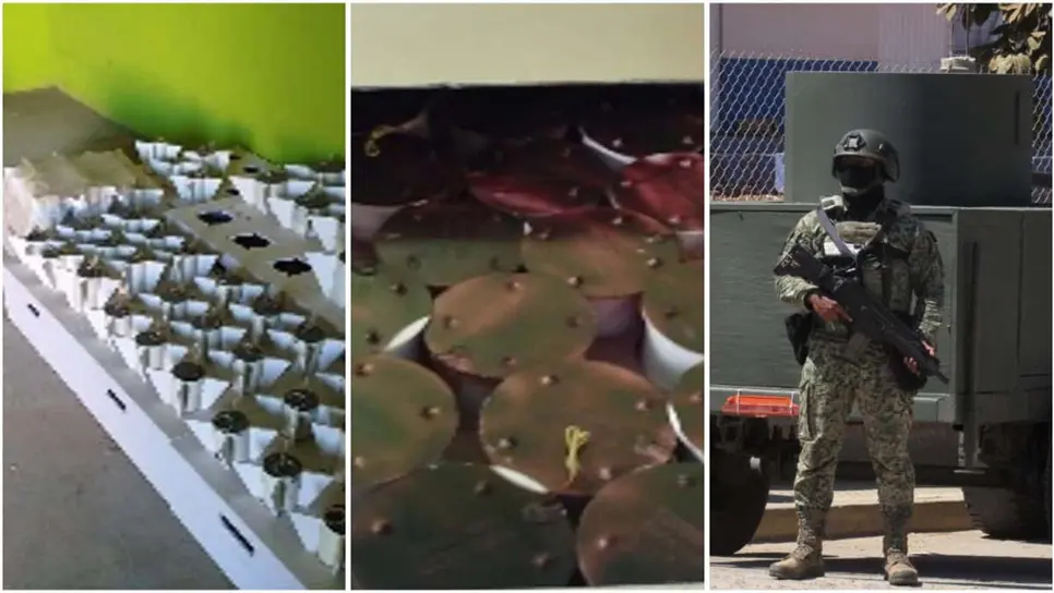 Aseguran casi 3 mil explosivos improvisados en cateo a domicilio en El Huajote, Concordia