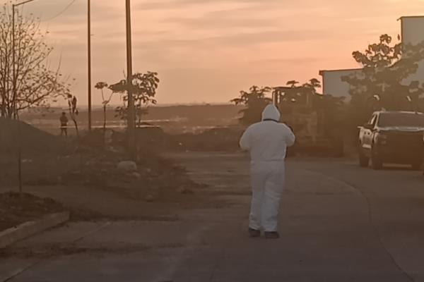 Sinaloa suma 12 feminicidios en lo que va del 2025: SEMujeres