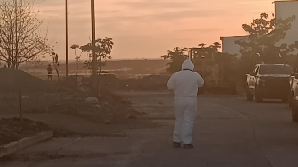 Sinaloa suma 12 feminicidios en lo que va del 2025: SEMujeres Sinaloa suma 12 feminicidios en lo que va del 2025: SEMujeres