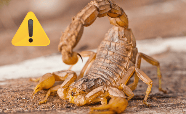 Imagen Placeholder Imagen Placeholder